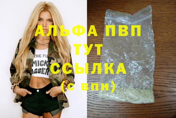 сатива Алзамай