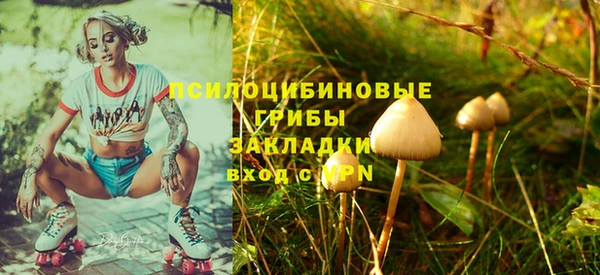не бодяженный Каменка