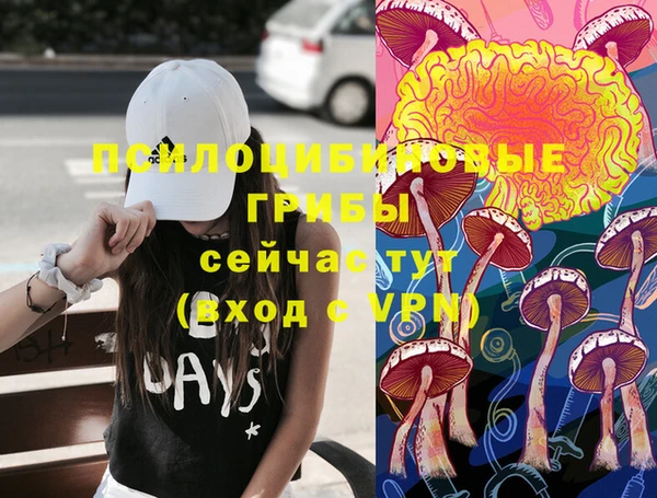 сатива Алзамай
