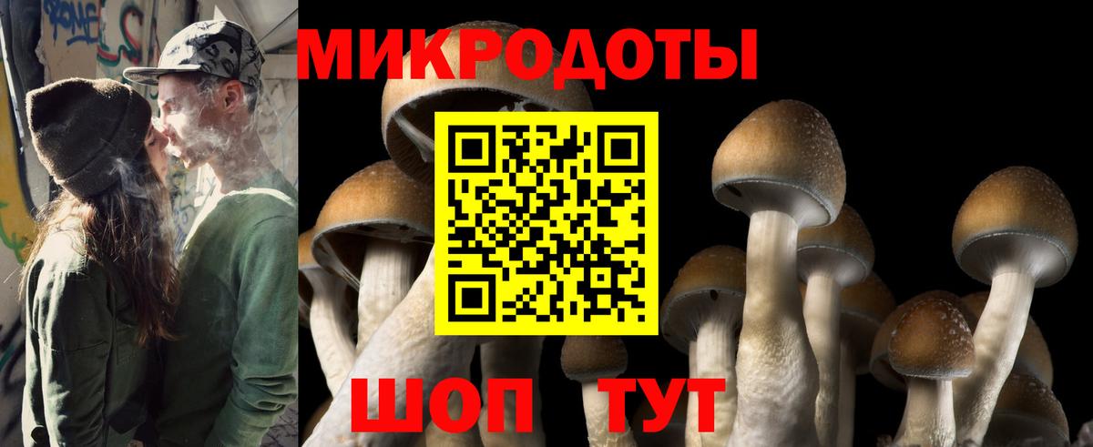 Галлюциногенные грибы GOLDEN TEACHER  Вход с VPN  Североуральск  Галлюциногенные грибы GOLDEN TEACHER 